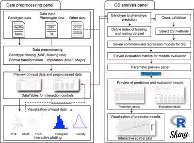 IP4GS: Bringing genomic selection analysis to breeders